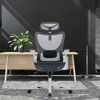Meilleure vente de chaise de bureau d'ordinateur ergonomique en maille de haute qualité Support dorsal d'atelier de confort Appui-tête réglable Design moderne