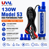 Pompa Oli Submersible Tekanan Rendah 12v24v untuk Transfer Diesel 130W dengan Kit Selang Oli dan Pistol Oli 2m, Diameter 53mm, OEM ODM