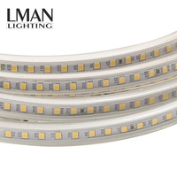 Bande LED pour Décoration de Bâtiment, 120 LED/m, IP65, SMD2835, AC 110V/127V/220V/260V, CRI 80,90, Température de Couleur 2700-6500K, Vente Chaude