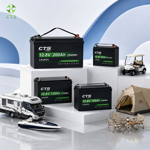 แบตเตอรี่ลิเธียมไอรอนฟอสเฟตแบบ Deep Cycle CTS 12.8V 25.6V 100Ah 200Ah สำหรับโซลาร์เซลล์ เรือ และโรงงาน ราคาโรงงาน - Product Image 6