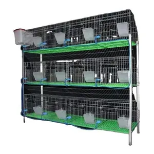 Poultry Farm Equipment Hot Sale Rabbit Cage For Babies And Mothers