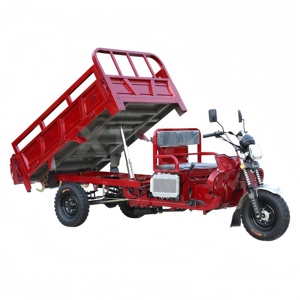 Triciclo de Carga con Motor de Gasolina de 300cc para Adultos, con Gran Capacidad de Subida a 20 Grados - Product Image 4