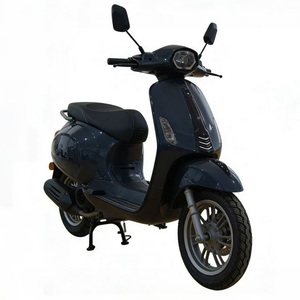 Nouveau scooter électrique vintage 60V 800W pour adultes, deux roues, batterie lithium amovible, moteur brushless haute performance, <span class=keywords><strong>Moto</strong></span> Surron - Product Image 1