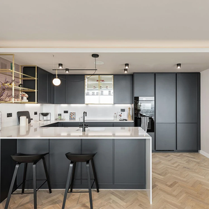 Meubles de cuisine modernes, design de garde-manger intégré, meubles de cuisine sur mesure, armoires pour immeubles résidentiels - Product Image 1
