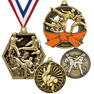 Medallas de Premio de Metal Doradas para Sublimación, Baratas, al por Mayor, Personalizadas para Deportes, Kick Boxing, Karate - Product Image 1