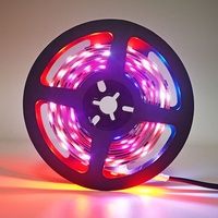 Bande LED RGB adressable DC12V SMD5050 WS2811 Effets dynamiques de poursuite et de défilement programmables Effets d'éclairage dynamique
