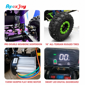 ApexJoy StormRider-1000W Vélo Électrique Adulte 48V 20Ah Plomb-Acide 40km/h Charge 150KG Double Suspension A-Arm Freins à Disque Hydrauliques Moteur Haute Puissance 1000W - Product Image 5