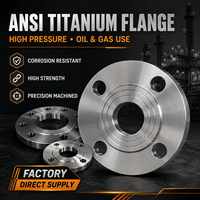 ANSI Standart Titanyum Flanş Yağ Gaz Boru Hattı Uygulamaları için Yüksek Basınç Alaşımlı Flanş