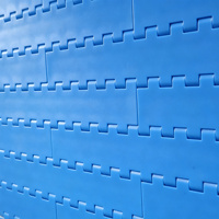 Bande transporteuse modulaire en plastique de type grille, personnalisée en usine, pour un déplacement linéaire, destinée à l'emballage en bouteille