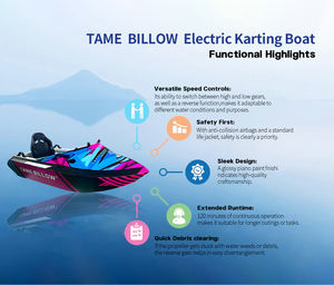 Multi funzionale intrattenimento competitivo Mini Kart elettrico barca ad alta velocità sci nautico per la vendita - Product Image 2
