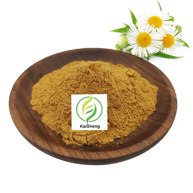 Wholesale Bulk 98% Apigenin Powder Supply Chamomile Extract Powder Chamomile Extract