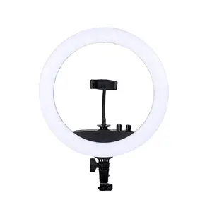 Hot Sale Multi farbe ptionen 14 Inch LED Light Light Stand Make Up Ring Light