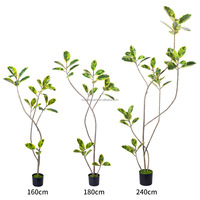 Pohon Karet Buatan Grosir 120-210cm, Pohon Besar dalam Pot, Ramah Lingkungan, Daun Simulasi Tinggi, Dekorasi Rumah, Pernikahan