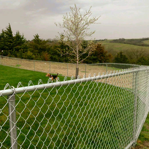 Clôture en treillis métallique galvanisé thermolaqué sur mesure, anti-escalade, pour la sécurité résidentielle, commerciale et la protection des animaux - Product Image 5