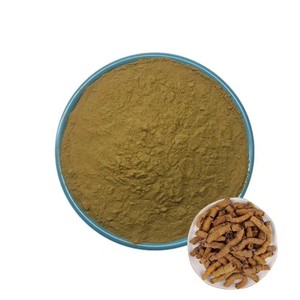 Экстракт корня моринды в порошке: поддержка жизненной силы и физической выносливости, натуральный адаптоген. Настраиваемый оптовый экстракт моринды официналис. - Product Image 2