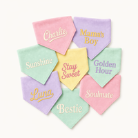 Bandana personnalisé brodé pour chien, avec nom, lavable, pour petits et grands chiens, vente en gros