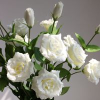 Fleur artificielle de luxe en latex Lisianthus, 3 têtes, toucher réel, fleurs d'Eustoma blanches pour la décoration de mariage, de maison et de fête