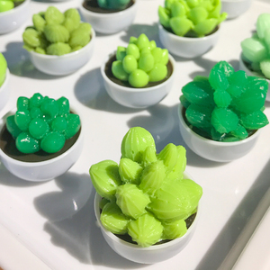 Mini Cactus en Résine Colorée, Plante Artificielle en Pot – Jouet Unisexe en Plastique Anti-Stress à Presser - Product Image 4