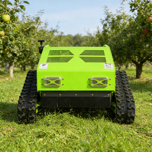 <span class=keywords><strong>รถ</strong></span><span class=keywords><strong>ตัด</strong></span><span class=keywords><strong>หญ้า</strong></span>คุณภาพดีราคาโรงงา<span class=keywords><strong>น</strong></span> พร้อมถังเก็บ<span class=keywords><strong>หญ้า</strong></span> <span class=keywords><strong>รถ</strong></span>แทรกเตอร์ข<span class=keywords><strong>น</strong></span>าด<span class=keywords><strong>เล็ก</strong></span>สำหรับฟาร์ม พร้อมเครื่องเป่าหิมะและเครื่อง<span class=keywords><strong>ตัด</strong></span><span class=keywords><strong>หญ้า</strong></span> - Product Image 4