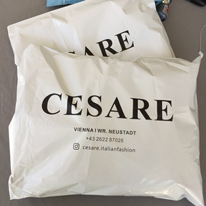 Bolsa de Correo de Polímero Biodegradable y Reciclable con Logotipo Impreso Personalizado, Bolsa de Embalaje para Ropa y Zapatos - Product Image 2