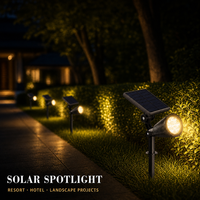 Projecteur Solaire Extérieur pour Projets de Paysagisme de Complexes Hôteliers IP65 Réglable sur Piquet OEM ODM Direct Usine Zhongshan