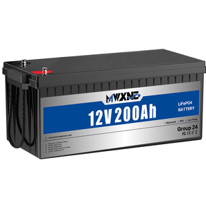 Lithium Iron Phosphate Solar Battery 100ah 200ah 300ah with BMS 12 Volt 300ah Lifepo4 Battery for Marine Boat - Product Image 5
