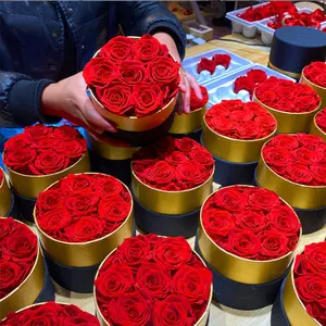 Rosa eterna preservada de N-009 en caja redonda, rosa, caja de regalo de flor roja eterna para regalo de San Valentín