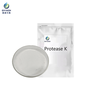 Proteinase K de qualité réactif pour la dégradation des protéines dans l'extraction des acides nucléiques - Product Image 3