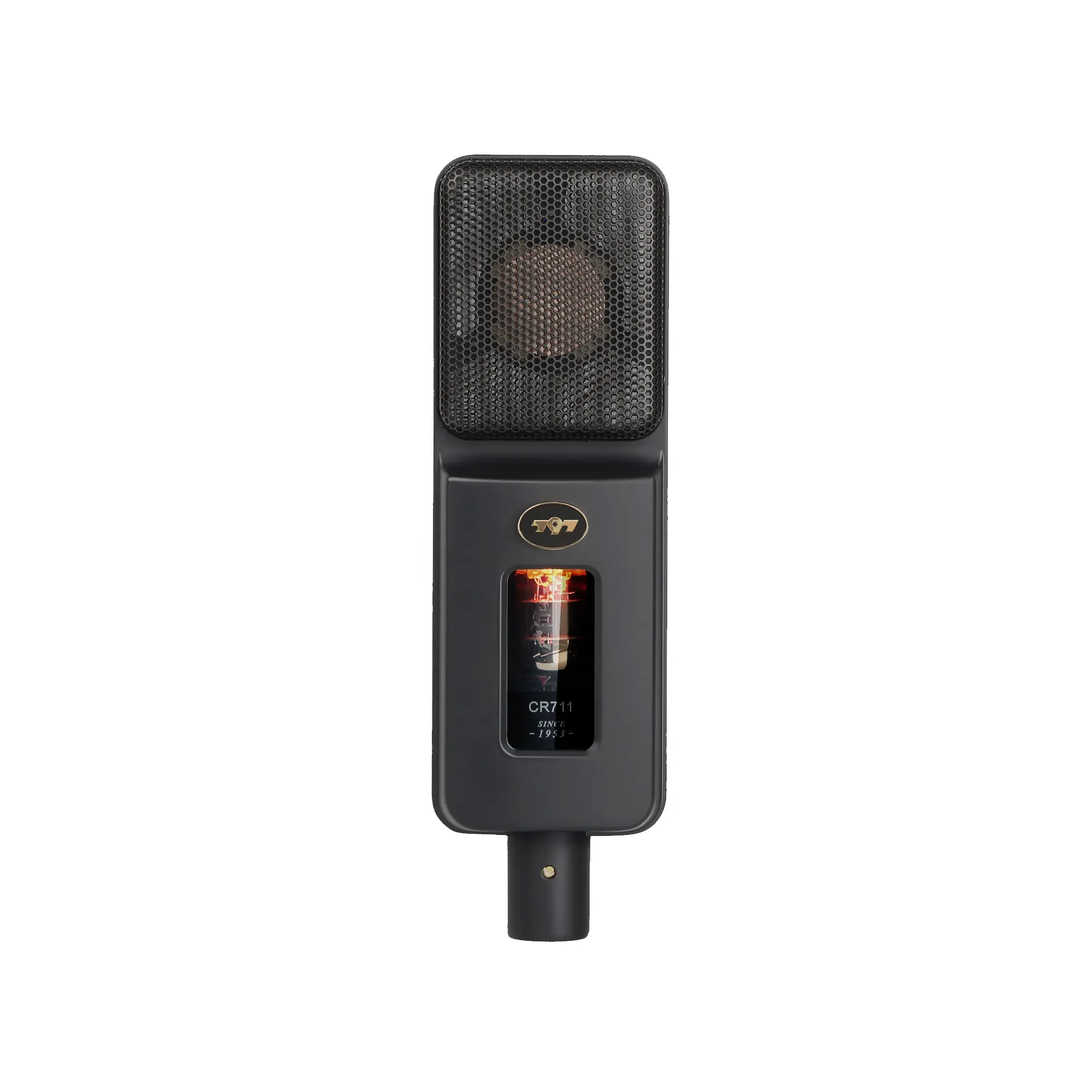 Mikrofon kondensor vokal berdiri XLR USB/3-pin nama merek grosir ATCR01 Audio 797 disesuaikan pabrik Tiongkok