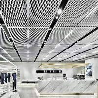Maille métallique expansée en aluminium anodisé pour mur-rideau extérieur et revêtement de façade de bâtiment, panneau de façade