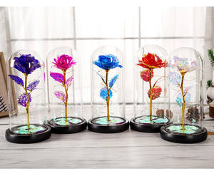<span class=keywords><strong>Per</strong></span> sempre rosa in una cupola di vetro con luce a Led eterna rosa galassia fiore rosa miglior regalo <span class=keywords><strong>per</strong></span> <span class=keywords><strong>lei</strong></span> il giorno della mamma di <span class=keywords><strong>San</strong></span> <span class=keywords><strong>Valentino</strong></span> - Product Image 2