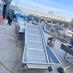 Cinta transportadora <span class=keywords><strong>de</strong></span> ozono comercial, lavadora <span class=keywords><strong>de</strong></span> brotes <span class=keywords><strong>de</strong></span> soja, lavadora <span class=keywords><strong>de</strong></span> arándanos, máquina <span class=keywords><strong>de</strong></span> limpieza <span class=keywords><strong>de</strong></span> <span class=keywords><strong>aguacate</strong></span> - Product Image 2