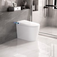 WC intelligent en céramique de haute qualité à poser au sol, avec télécommande, siège chauffant, double chasse d'eau, fonctionnement automatique, veilleuse, pour femmes