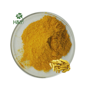 Extracto de cúrcuma de alta calidad, curcumina en polvo, curcumina 2.5% 5%, gránulos 95% - Product Image 2