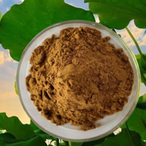 Fornecer Alta Qualidade Lotus Folha Extrato Nuciferina - Product Image 3