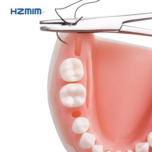 Modello di Pratica per Cisti Dentali per <span class=keywords><strong>Formazione</strong></span> Chirurgica Orale Prodotto per Scienze Mediche - Product Image 5