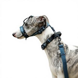 Hond Outdoor bedrukt lintriem Verstelbare halsband Gespsluiting Anti-explosie Bijtbestendig trainingsmuilkorf voor middelgrote en grote honden - Product Image 1