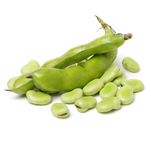 OEM ODM Kacang <span class=keywords><strong>Fava</strong></span> Hijau Kelas Makanan, Kacang <span class=keywords><strong>Fava</strong></span> Kering Bulat Kecil hingga Sedang, Ekstrak Biji, Grosir, Partai Besar - Product Image 5