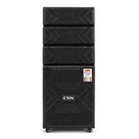 Enceinte de sonorisation portable CSW-5502 15 pouces avec microphones sans fil