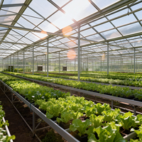 Goedkope tomaten- en aardbeienkweektunnels, polycarbonaat multi-span PC landbouwkassen