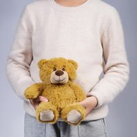 Ours en peluche brun souple peluche douce tiktok vente chaude