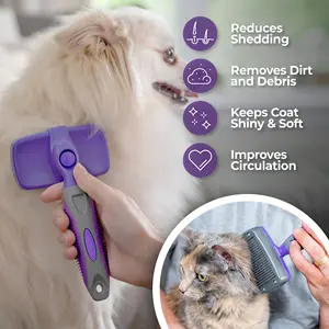 MEILLEURE vente de brosse auto-nettoyante pour animaux de compagnie OEM/ODM plastique en acier inoxydable produit de toilettage préféré de mazon pour animaux de compagnie