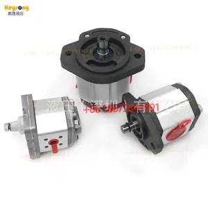 Pompa a Ingranaggi MARZOCCHI GHP1A-<span class=keywords><strong>D</strong></span>-2-FG / GHP2A-<span class=keywords><strong>D</strong></span>-6-FG ad Alta Pressione, Originale dall'<span class=keywords><strong>Italia</strong></span> / Può Essere Utilizzata Come Sostituto - Product Image 6