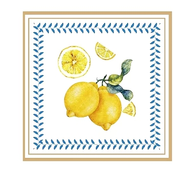 serviette 33*33 cm