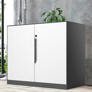 2-Door Metal Mobile Office Storage <b>File</b> Cabinet Double Tiers Foldable with Waterproof Steel Handle for School Furniture - Product Image 1