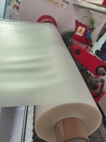 Service de découpe sur mesure pour tubes de tente gonflable en TPU/PVC transparent, écologiques, pour tente à air