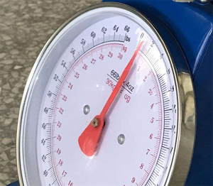 Veidt Weigh 30kg <b>Mechanical</b> Dia Spring Flat <b>Scale</b> Sold by the Piece Blue Kilogram Dial in Stock With Ring ZZDP-203-30kg - Product Image 2