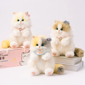 Mochila de Gato Ragdoll Adorable, Muñeco de Peluche, Regalo de Cumpleaños, Compañero para Fotografía - Product Image 1