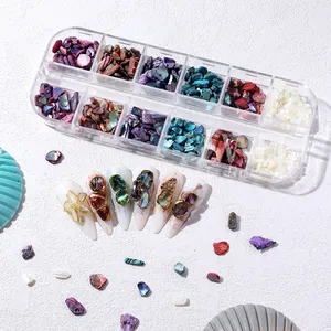 12 Grids Nail Art Aurora <b>Abalone</b> <b>Shell</b> Flakes 3D Charms Irregular Seashell Fragment Aurora Slices DIY Manicure Decor Accessories - Product Image 5