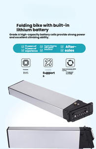 <span class=keywords><strong>จักรยาน</strong></span>ซิตี้ไบค์แบบพับได้พร้อมแบตเตอรี่ลิเธียมเปลือกอลูมิเนียมในตัว: 36V, 48V, 10AH, 15AH, 12AH, 14AH ระยะยาว - Product Image 2